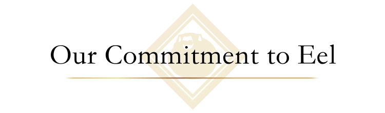 Our Commitment to Eel